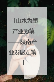 山水为墨 产业为笔——陕南产业发展走笔
