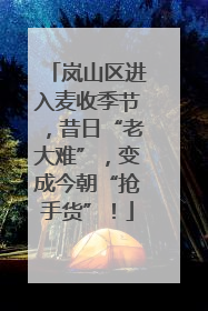 岚山区进入麦收季节，昔日“老大难”，变成今朝“抢手货”！