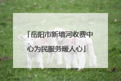 岳阳市新墙河收费中心为民服务暖人心