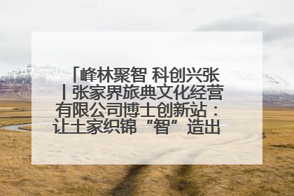 峰林聚智 科创兴张丨张家界旅典文化经营有限公司博士创新站：让土家织锦“智”造出非遗新传奇