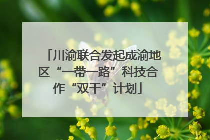 川渝联合发起成渝地区“一带一路”科技合作“双千”计划