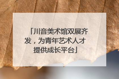川音美术馆双展齐发，为青年艺术人才提供成长平台