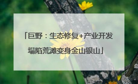 巨野：生态修复+产业开发 塌陷荒滩变身金山银山