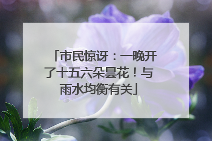 市民惊讶：一晚开了十五六朵昙花！与雨水均衡有关