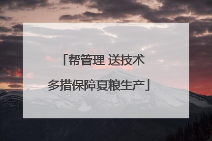 帮管理 送技术 多措保障夏粮生产