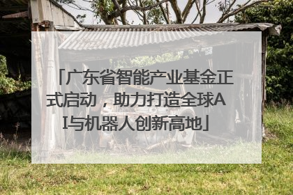 广东省智能产业基金正式启动，助力打造全球AI与机器人创新高地