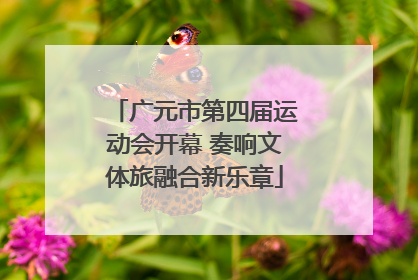 广元市第四届运动会开幕 奏响文体旅融合新乐章