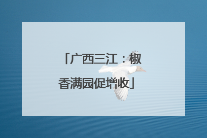 广西三江：椒香满园促增收