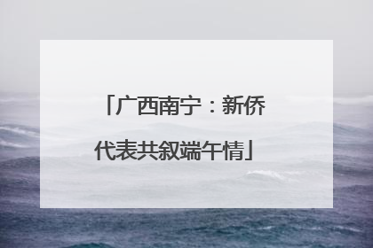 广西南宁：新侨代表共叙端午情