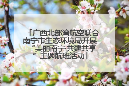 广西北部湾航空联合南宁市生态环境局开展“美丽南宁·共建共享”主题航班活动