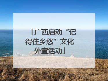 广西启动“记得住乡愁”文化外宣活动