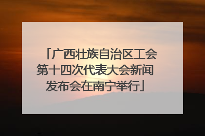 广西壮族自治区工会第十四次代表大会新闻发布会在南宁举行