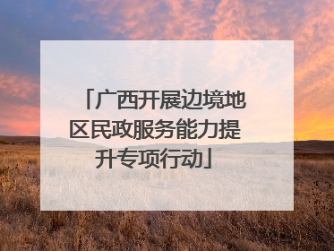 广西开展边境地区民政服务能力提升专项行动