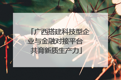 广西搭建科技型企业与金融对接平台 共育新质生产力