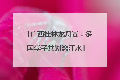 广西桂林龙舟赛：多国学子共划漓江水