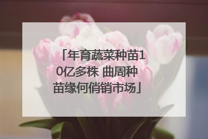 年育蔬菜种苗10亿多株 曲周种苗缘何俏销市场