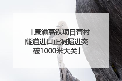 康渝高铁项目青村隧道进口正洞掘进突破1000米大关