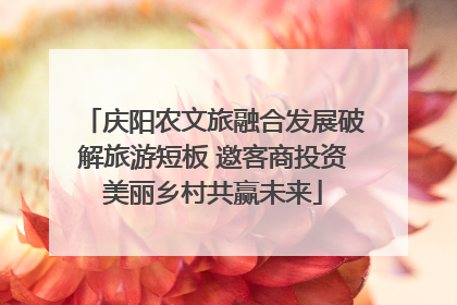 庆阳农文旅融合发展破解旅游短板 邀客商投资美丽乡村共赢未来
