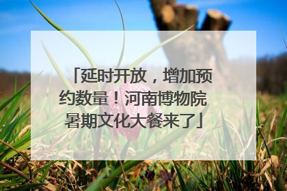 延时开放，增加预约数量！河南博物院暑期文化大餐来了