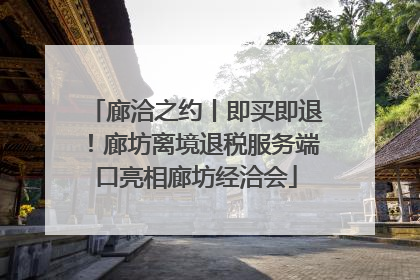 廊洽之约丨即买即退！廊坊离境退税服务端口亮相廊坊经洽会