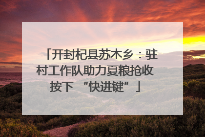 开封杞县苏木乡：驻村工作队助力夏粮抢收按下 “快进键”