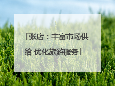 张店：丰富市场供给 优化旅游服务