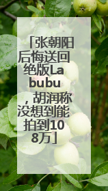张朝阳后悔送回绝版Labubu，胡润称没想到能拍到108万