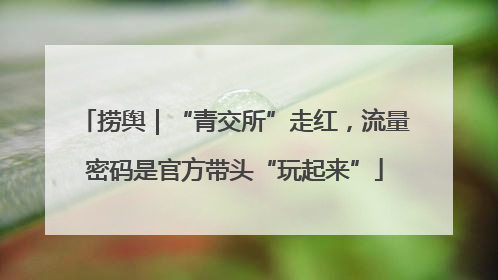 捞舆｜“青交所”走红，流量密码是官方带头“玩起来”