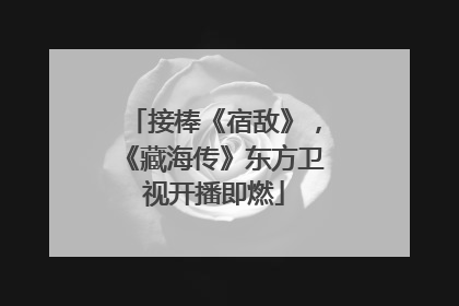 接棒《宿敌》，《藏海传》东方卫视开播即燃
