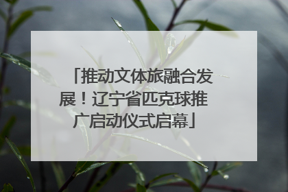 推动文体旅融合发展！辽宁省匹克球推广启动仪式启幕