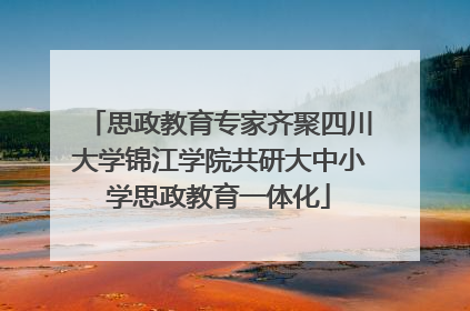 思政教育专家齐聚四川大学锦江学院共研大中小学思政教育一体化