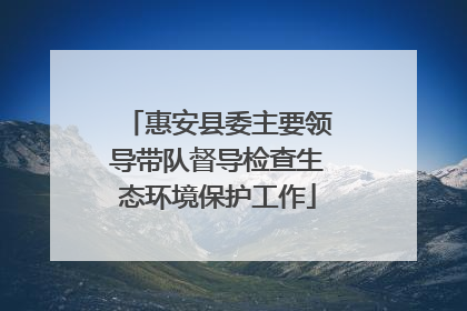 惠安县委主要领导带队督导检查生态环境保护工作