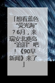 想看蓝色“荧光海”？6月，来瑞安北麂岛“追泪”吧！《90早新闻》来了