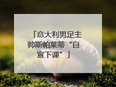 意大利男足主帅斯帕莱蒂“自宣下课”