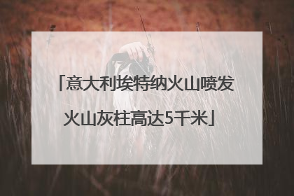 意大利埃特纳火山喷发 火山灰柱高达5千米