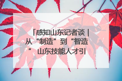 感知山东记者谈｜从“制造”到“智造” 山东技能人才引领产业升级
