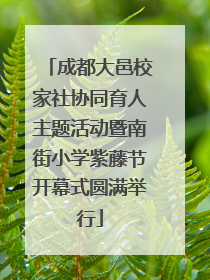 成都大邑校家社协同育人主题活动暨南街小学紫藤节开幕式圆满举行