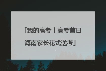 我的高考丨高考首日 海南家长花式送考