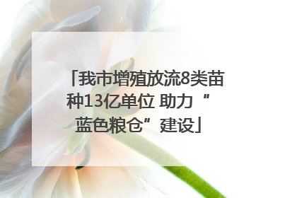 我市增殖放流8类苗种13亿单位 助力“蓝色粮仓”建设