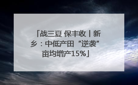 战三夏 保丰收丨新乡：中低产田“逆袭” 亩均增产15%