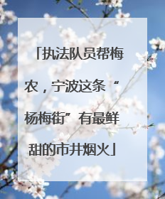 执法队员帮梅农，宁波这条“杨梅街”有最鲜甜的市井烟火