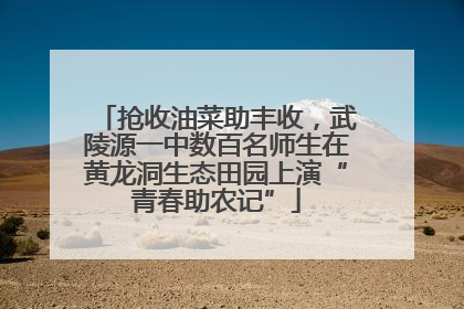 抢收油菜助丰收，武陵源一中数百名师生在黄龙洞生态田园上演“青春助农记”