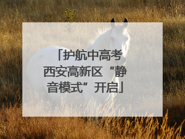 护航中高考 西安高新区“静音模式”开启