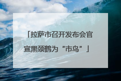 拉萨市召开发布会官宣黑颈鹤为“市鸟”