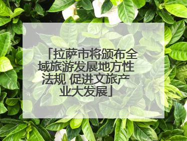 拉萨市将颁布全域旅游发展地方性法规 促进文旅产业大发展