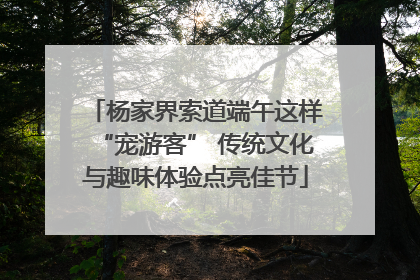 杨家界索道端午这样“宠游客” 传统文化与趣味体验点亮佳节