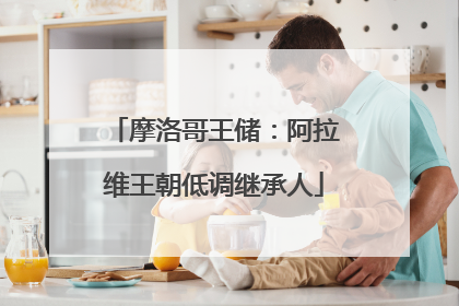 摩洛哥王储：阿拉维王朝低调继承人