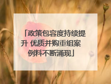 政策包容度持续提升 优质并购重组案例料不断涌现