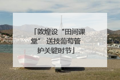 敦煌设“田间课堂” 送技葡萄管护关键时节