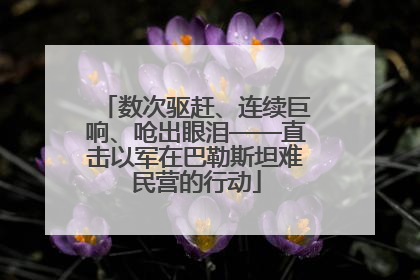 数次驱赶、连续巨响、呛出眼泪——直击以军在巴勒斯坦难民营的行动